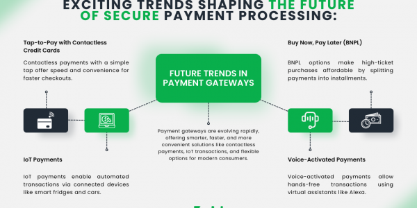 Paid.com - In-Depth Analysis of Top Payment Gateway Solutions in the USA